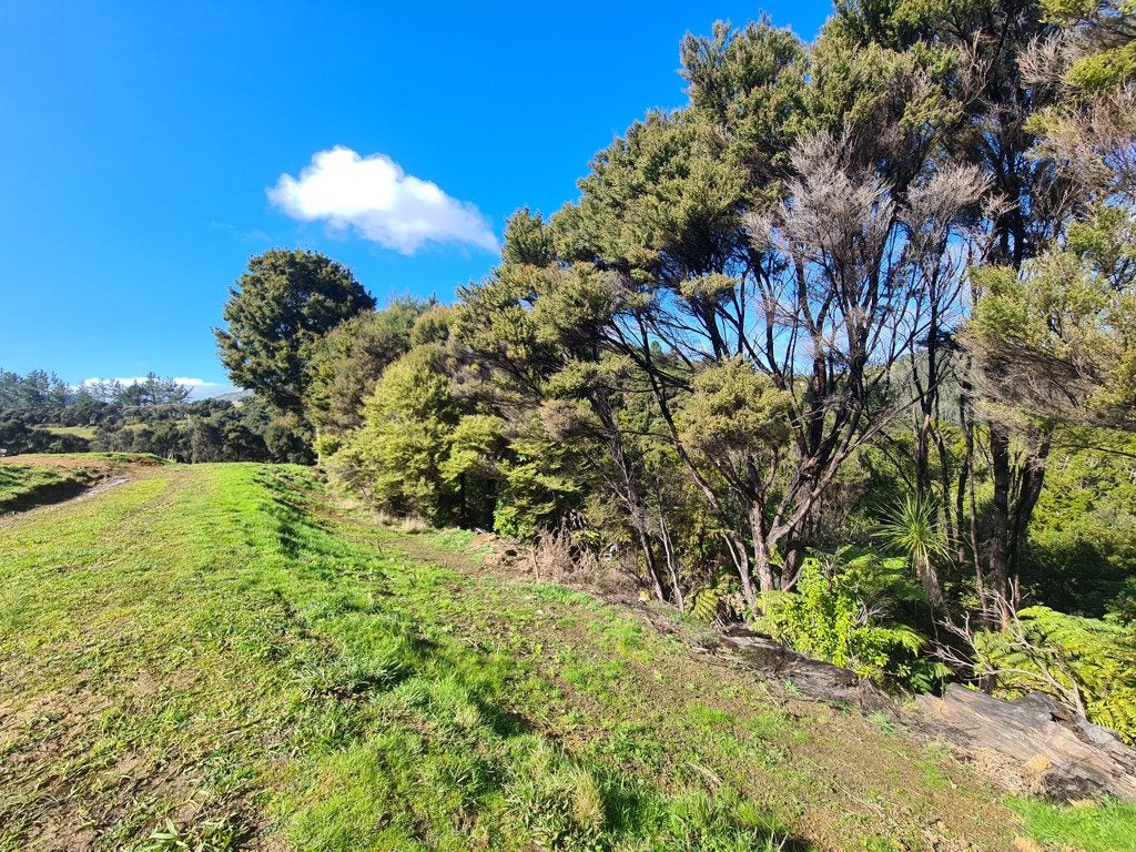 113B Taemaro Road, Hihi, Mangonui - Carousel 22