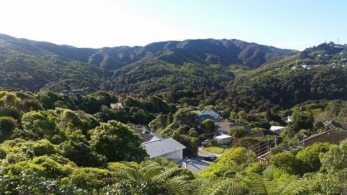 19 Rochester Street, Wilton, Wellington - Carousel 24