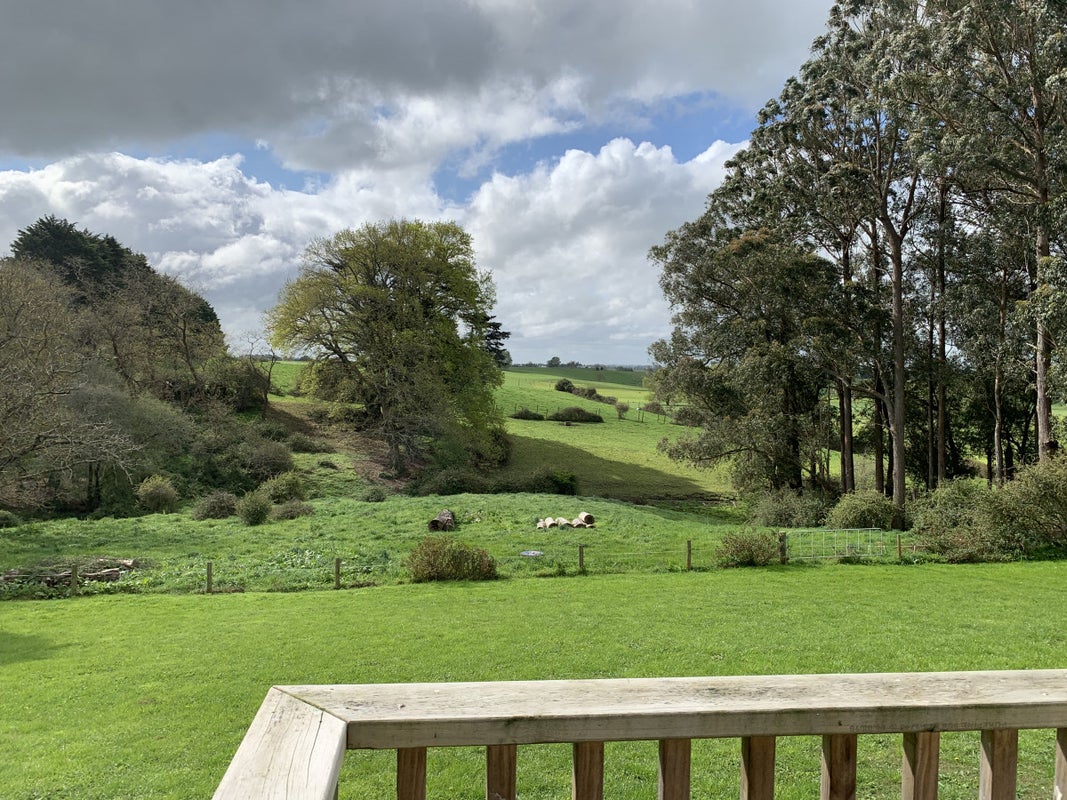 2146 Te Rahu Road, Te Awamutu, Te Awamutu - Carousel 12