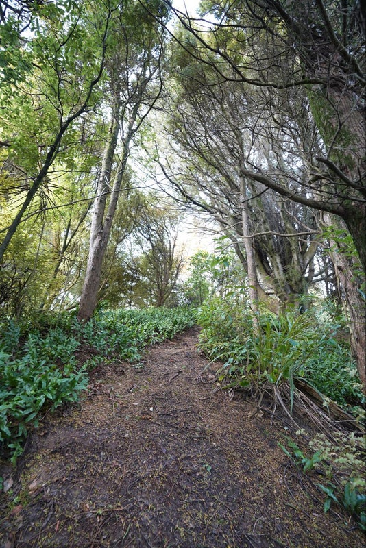5 Grant Road, Otatara - Carousel 33
