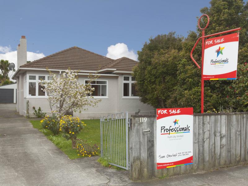 119 Knights Road, Hutt Central, Lower Hutt - Carousel 1