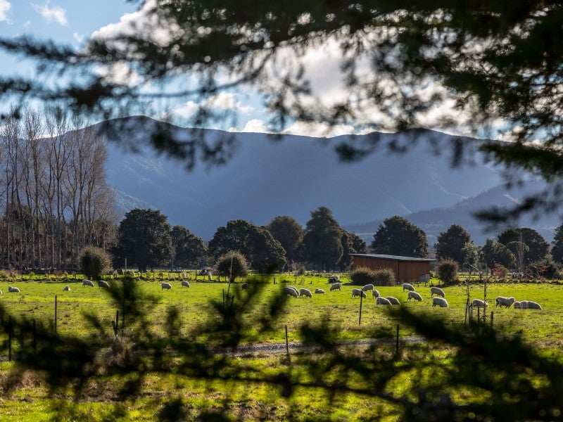 0 Kuratawhiti St, Greytown - Carousel 9