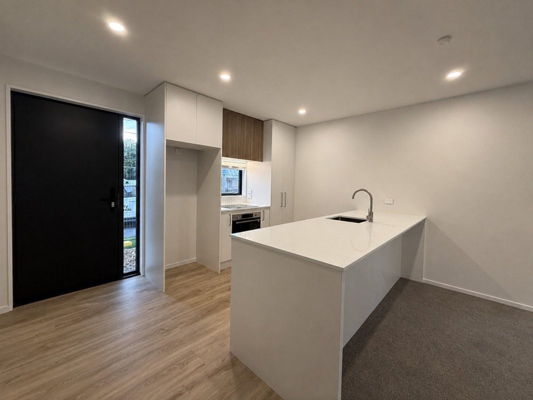 394 Selwyn Street, Addington, Christchurch - Carousel 2
