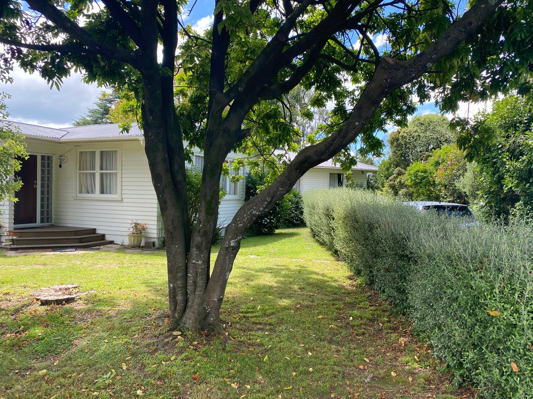 1 Cotton Place, Opaheke, Papakura - Carousel 2