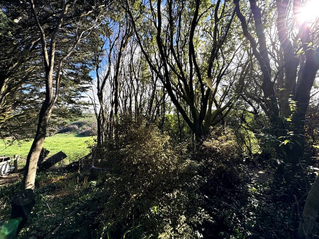 6 Kamahi Street, Balclutha - Carousel 27