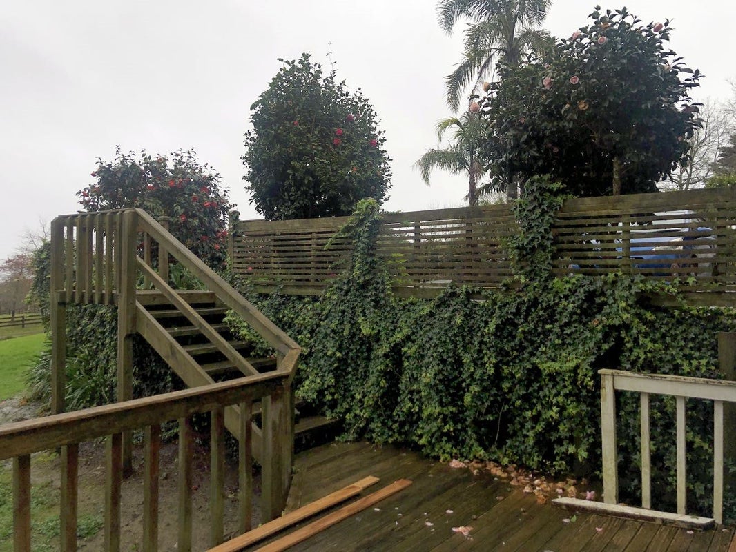 33 Gracechurch Drive, Flat Bush, Auckland - Carousel 10