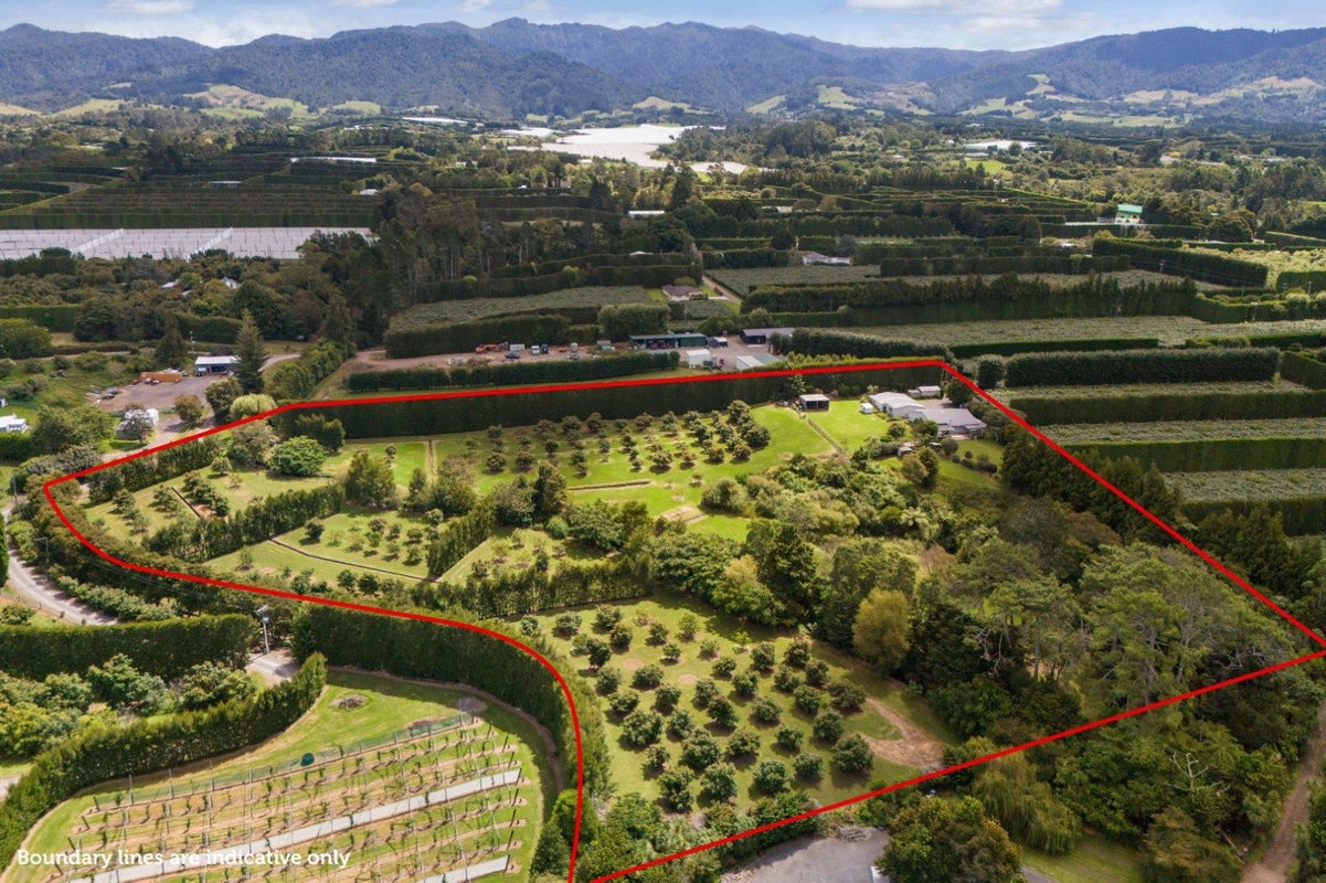 63A Rea Road, Tahawai, Katikati - Carousel 34