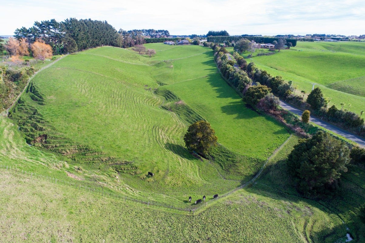 695 Sandon Road, Halcombe, Feilding - Carousel 26