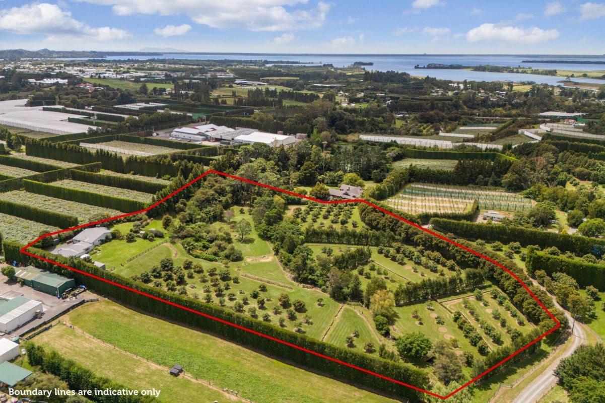 63A Rea Road, Tahawai, Katikati - Carousel 2