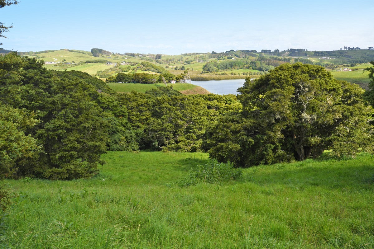 15 Tamahunga Road, Kaiwaka - Carousel 20