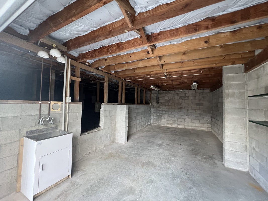 29 Alison Street, Hamilton Lake, Hamilton - Carousel 21