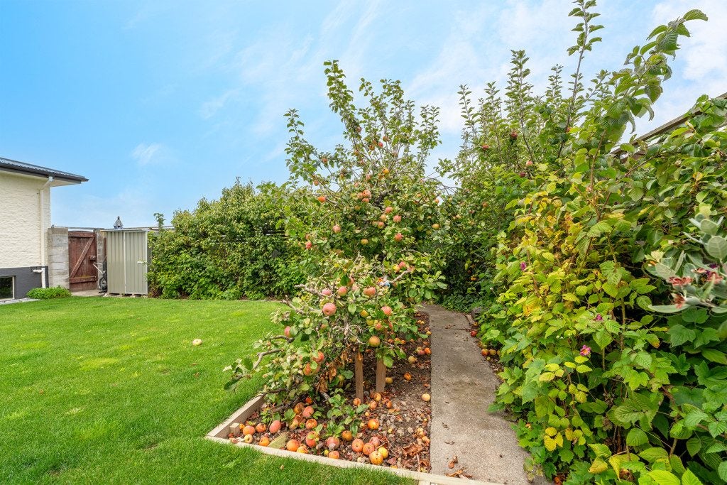 48 Mountain View Road, Glenwood, Timaru - Carousel 21