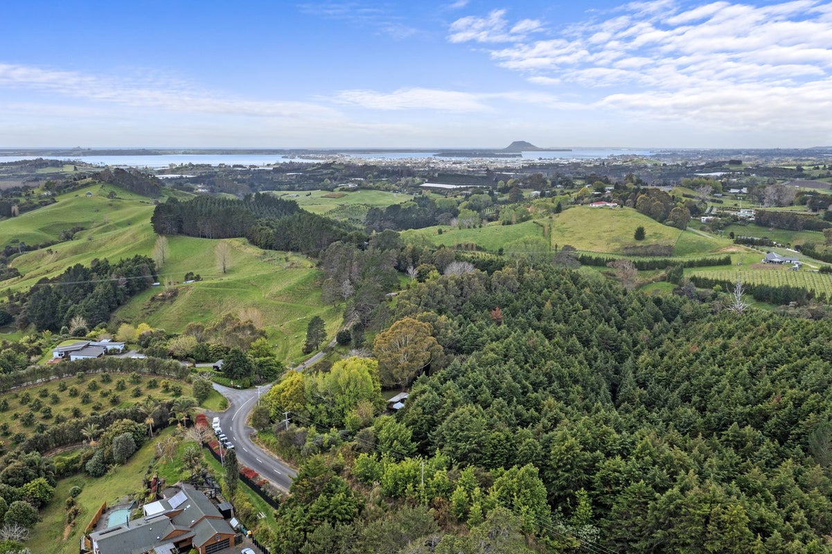 62 Lowe Road, Whakamarama, Tauranga - Carousel 22