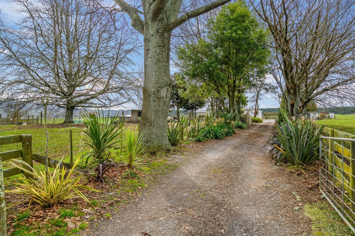 217 Rawhiti Road, Reporoa - Carousel 26