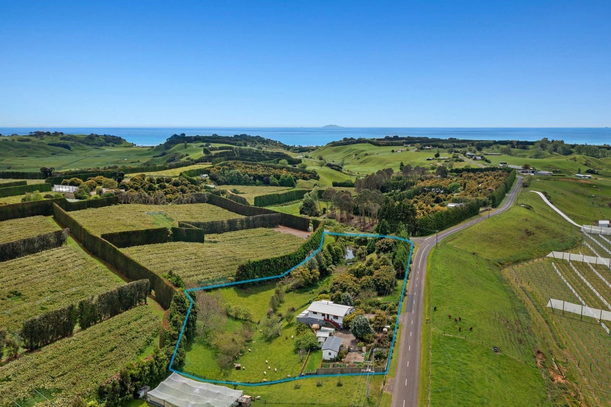 286 Paerata Ridge Road, Waiotahe, Opotiki - Carousel 46