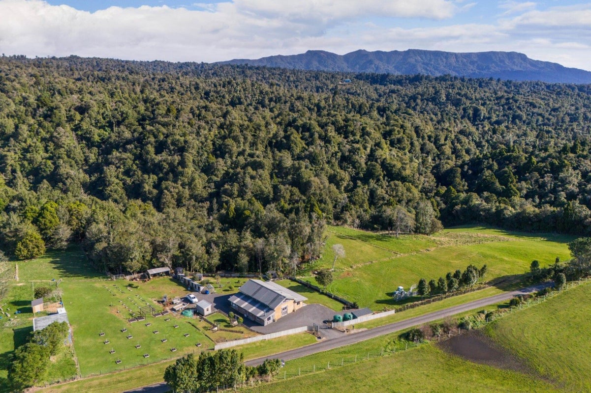 994 Work Road, Whakamarama, Katikati - Carousel 2