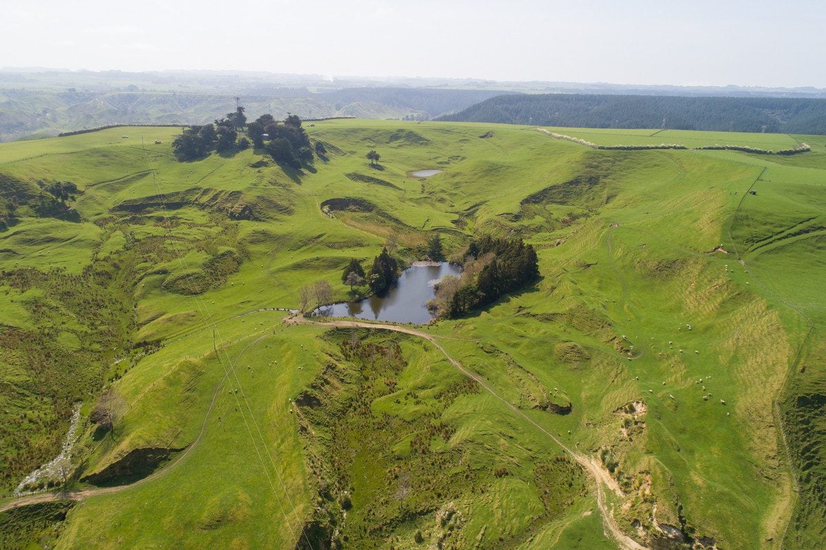 0 State Highway 3, Kai Iwi - Carousel 1
