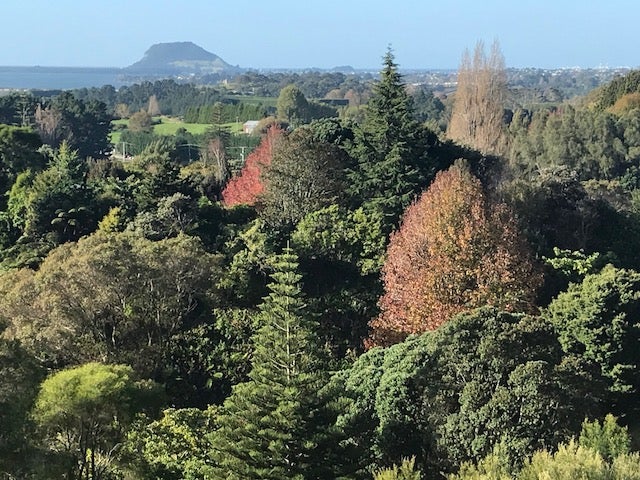 140A Minden Road, Minden, Tauranga - Carousel 1