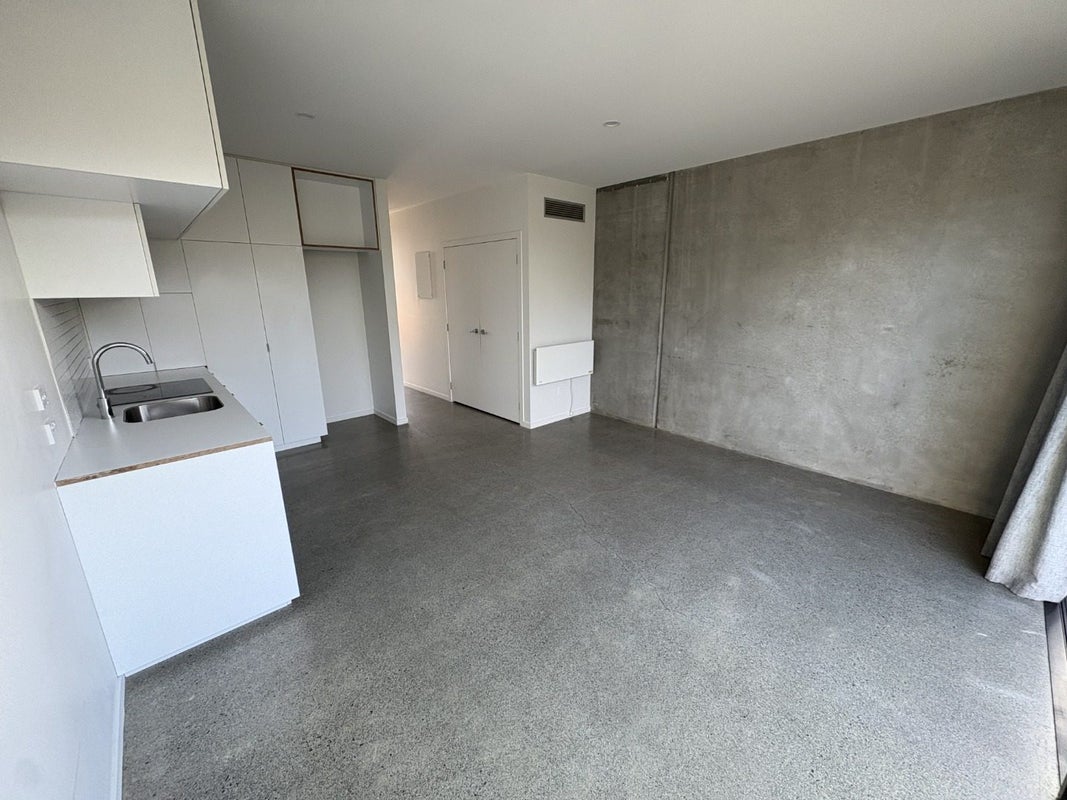 41 Te Ara O Paetutu, Petone, Lower Hutt - Carousel 29