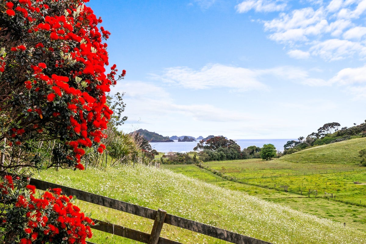 168 Rockell Road, Whananaki, Hikurangi - Carousel 2