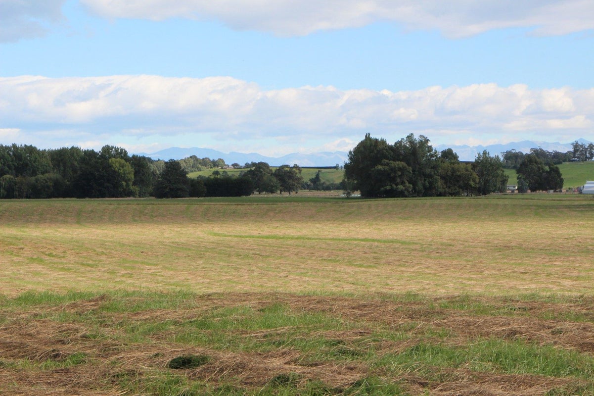 0 Rosewill Valley Road, Timaru - Carousel 2