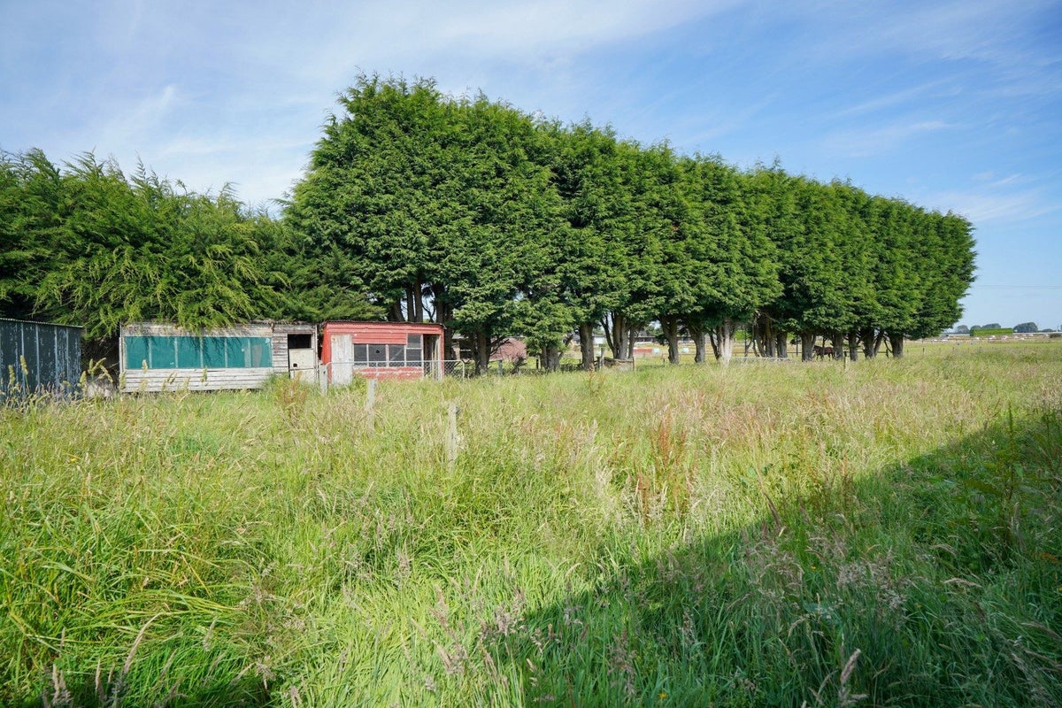 73 East Road, Ascot, Invercargill - Carousel 19