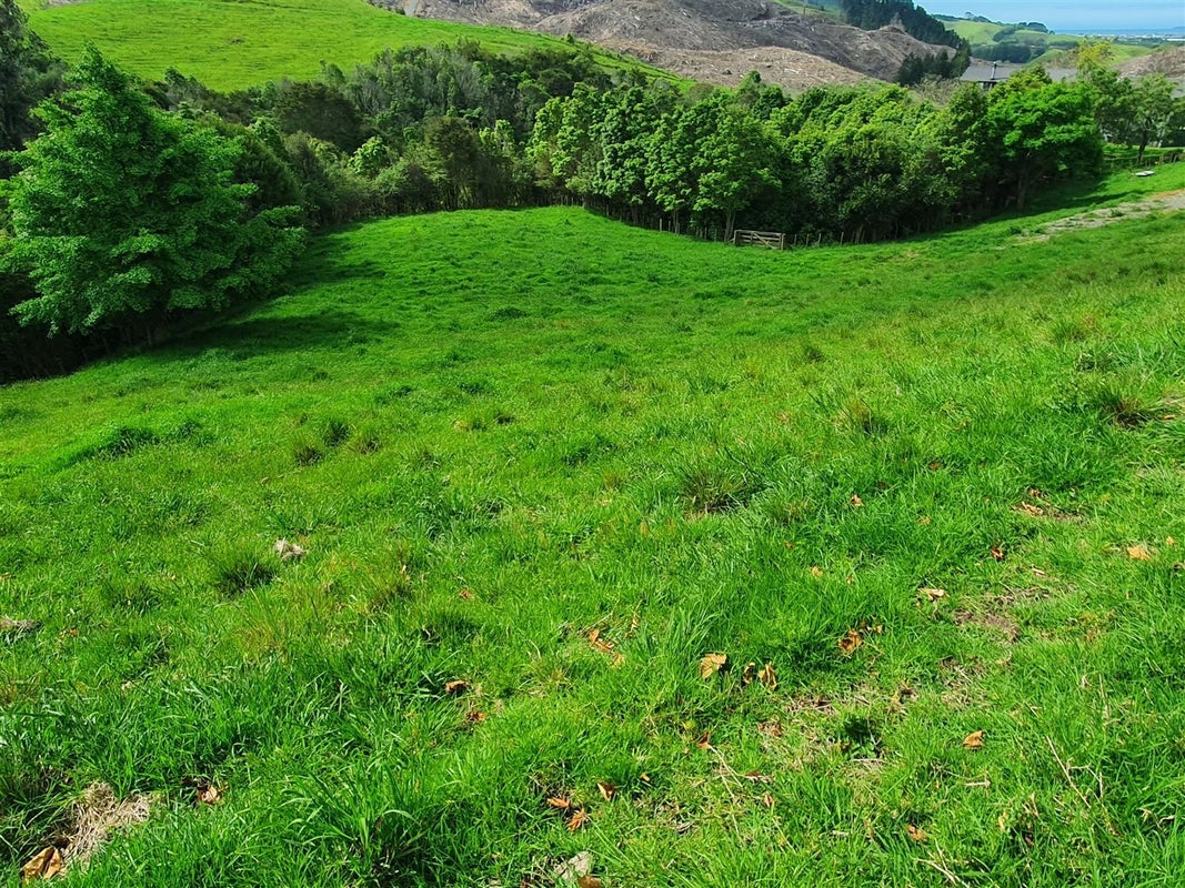 0 Middle Ridge, Tutukaka, Whangarei - Carousel 2