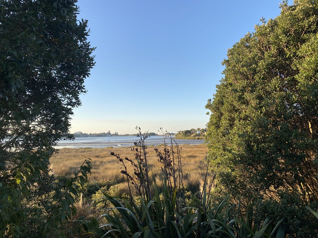 31 Tangaroa Place, Poike, Tauranga - Carousel 2
