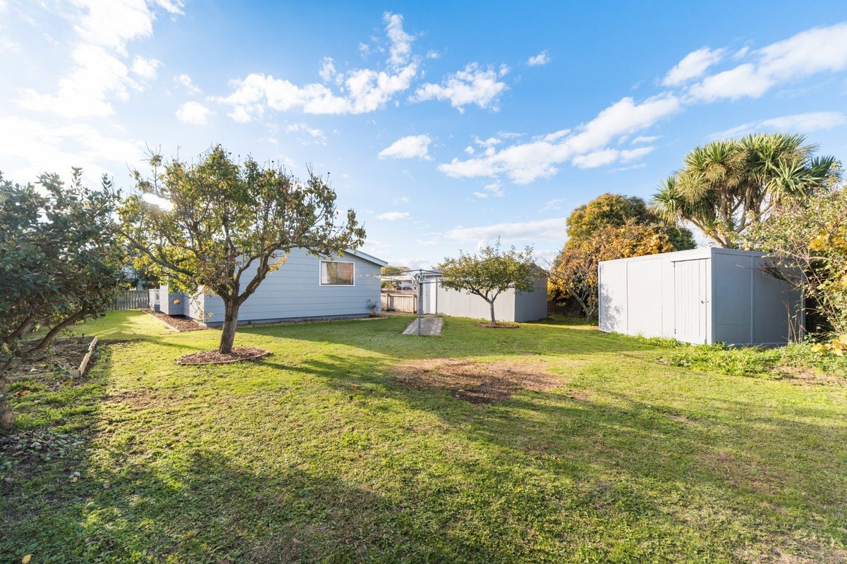 114 Tremaine Avenue, Westbrook, Palmerston North - Carousel 20