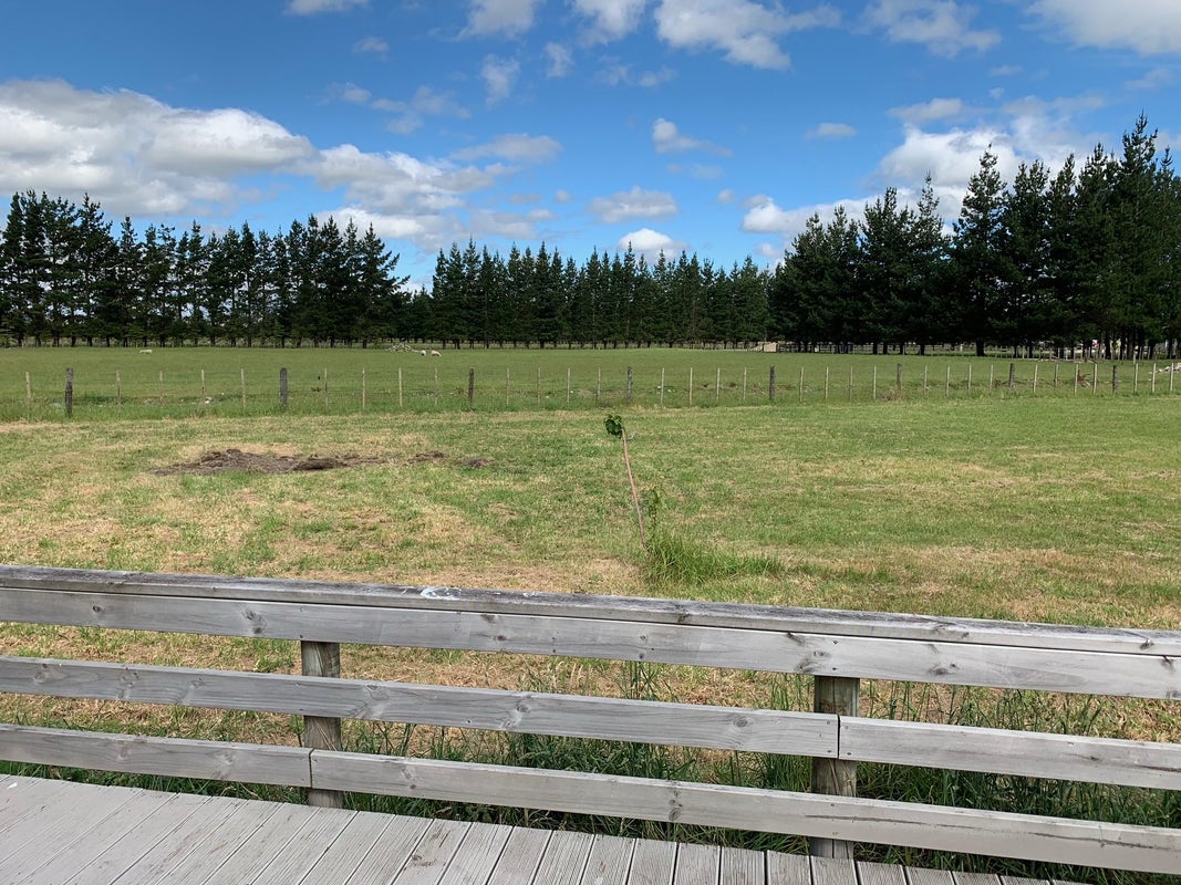1292 State Highway 2, Featherston - Carousel 2