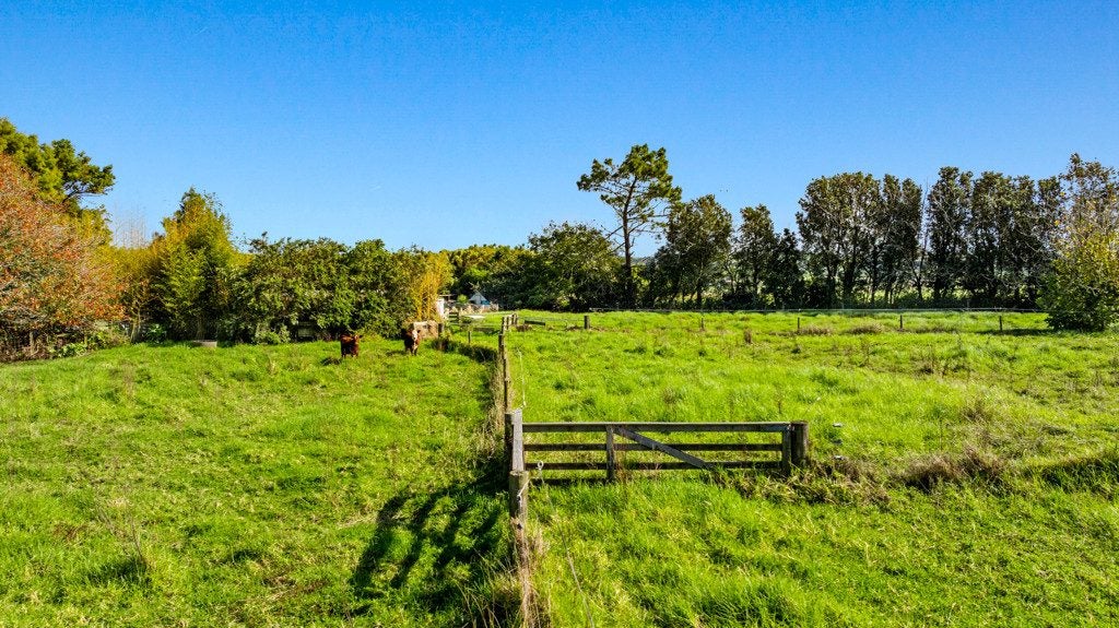 594 Waiuku-Otaua Road, Waiuku - Carousel 50