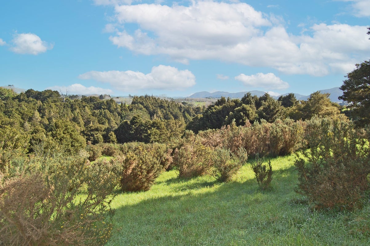 36 Tawa Avenue, Kaiwaka - Carousel 16