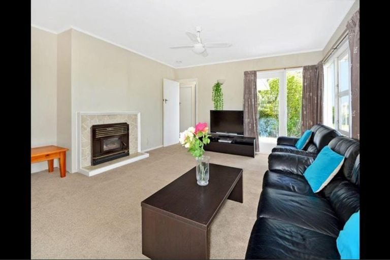 12 Holland Road, Fairfield, Hamilton - Carousel 2