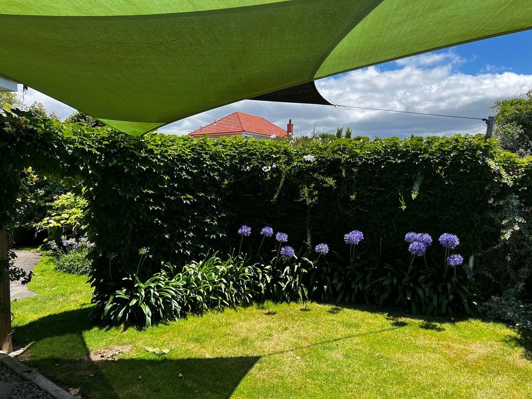 1 Logan Avenue, Marewa, Napier - Carousel 22