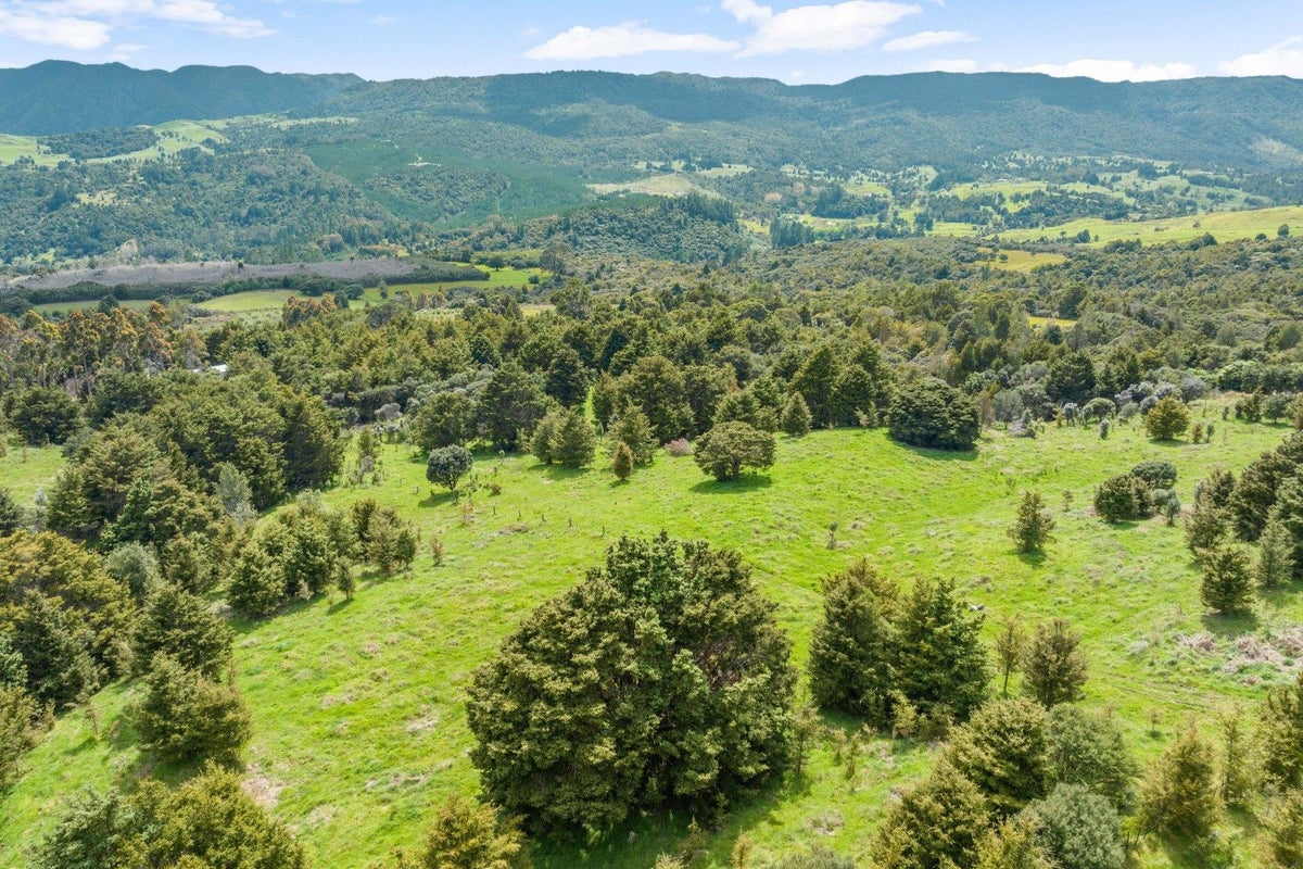 6762 State Highway 12, Waimamaku, Kaikohe - Carousel 23