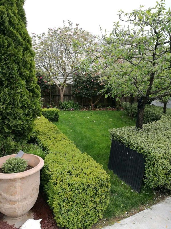 1/7A Medbury Terrace, Fendalton, Christchurch - Carousel 16