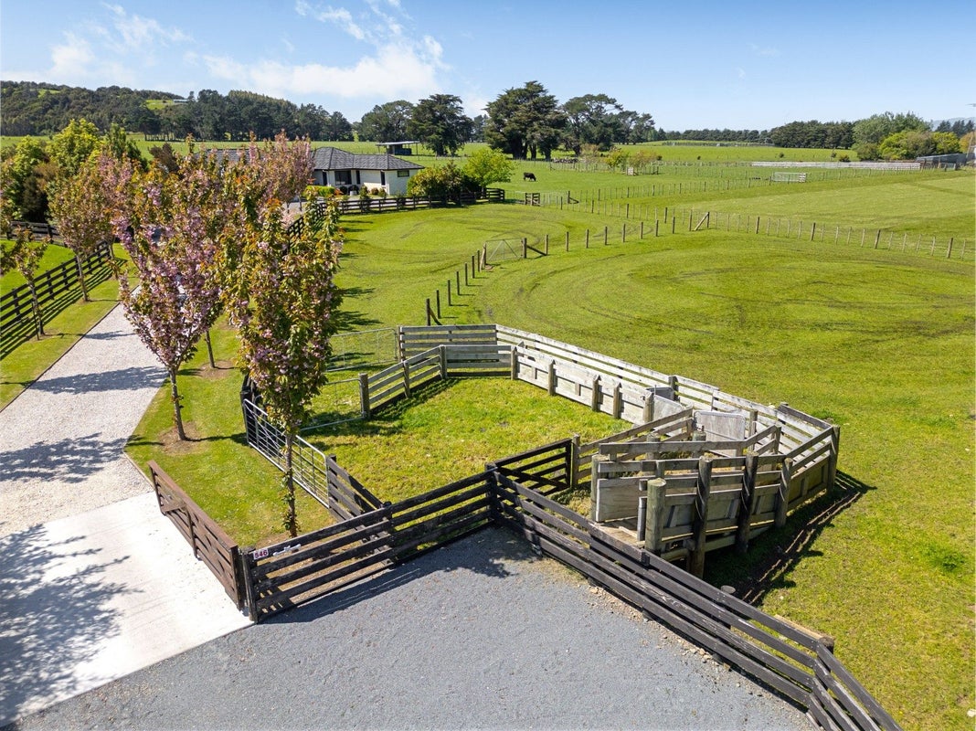 546 Belvedere Road, Carterton - Carousel 50