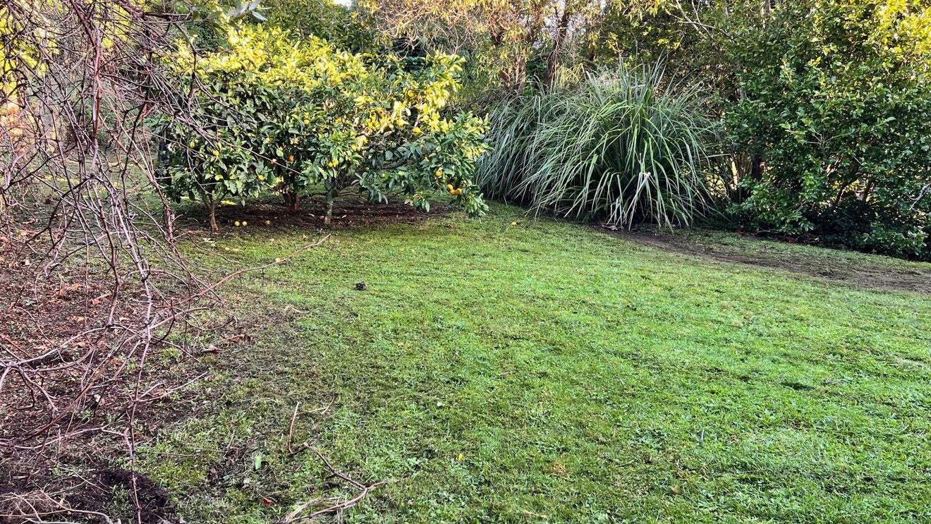 62 Dale Road, Raumati South, Paraparaumu - Carousel 22