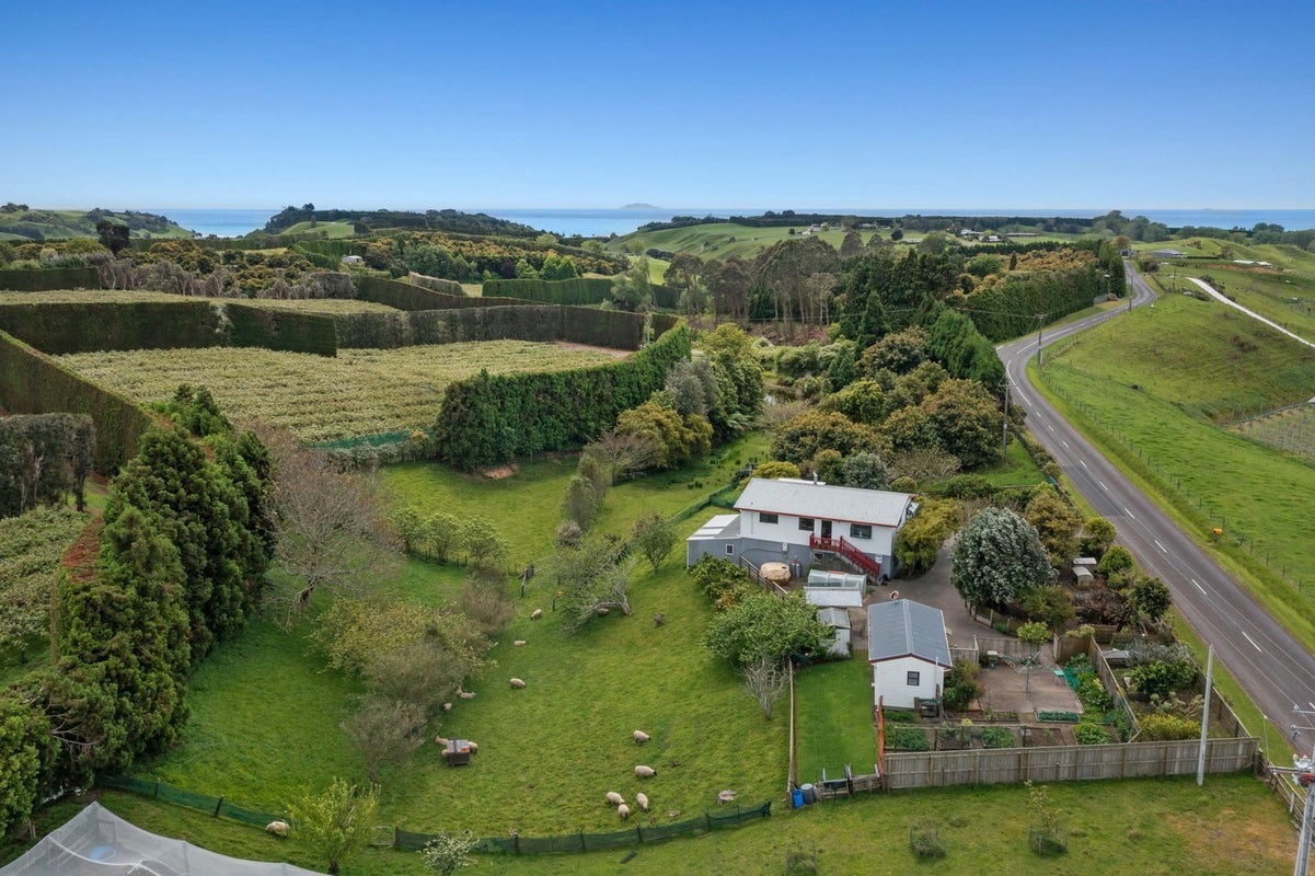 286 Paerata Ridge Road, Waiotahe, Opotiki - Carousel 1