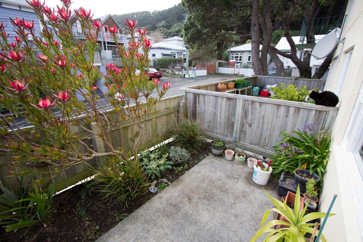 2/2 Scarborough Terrace, Mount Victoria, Wellington - Carousel 10