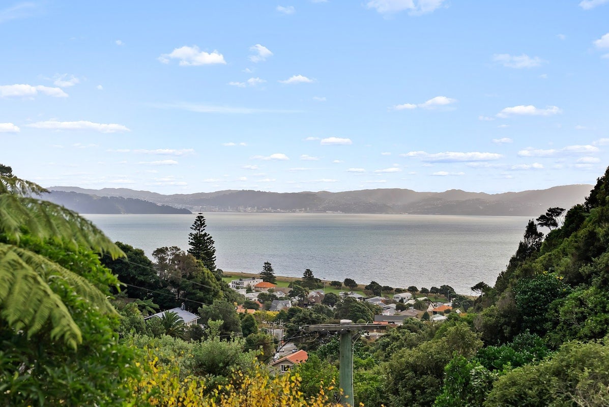 57 Rona Street, Eastbourne, Lower Hutt - Carousel 2