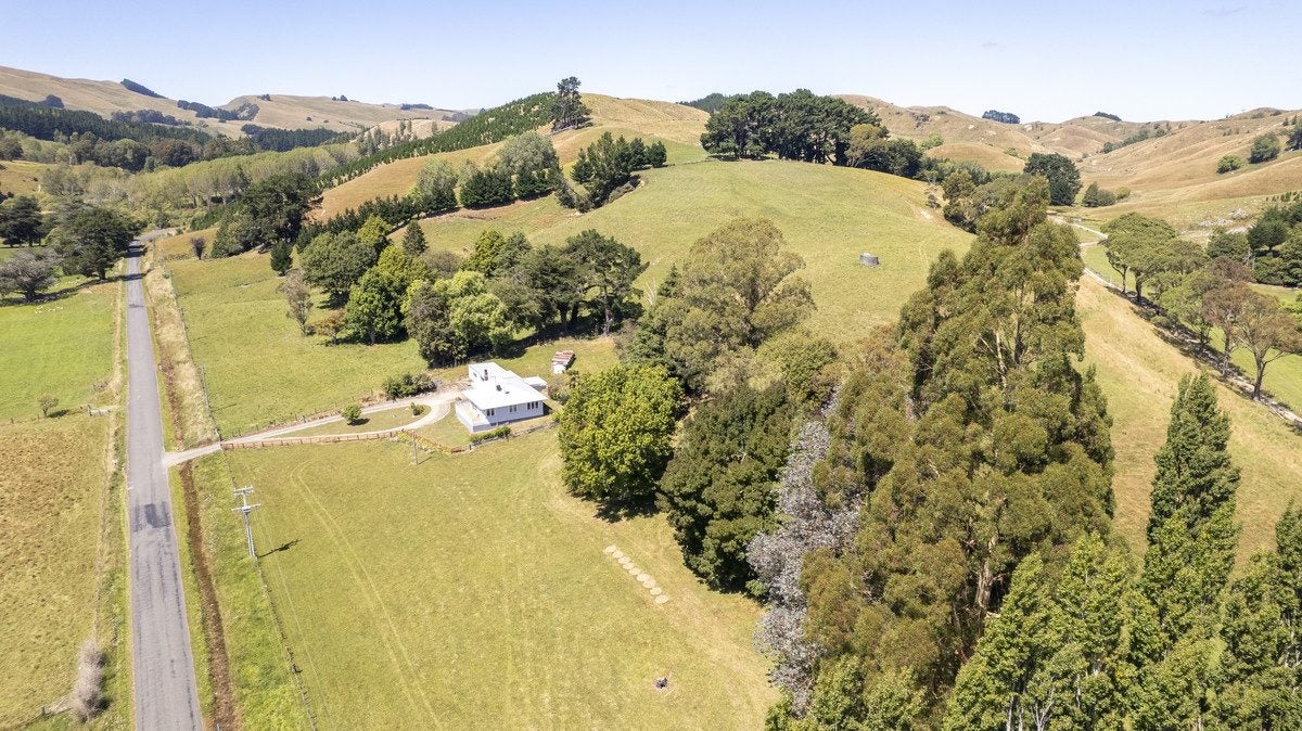 233 South Road, Mauriceville, Masterton - Carousel 19