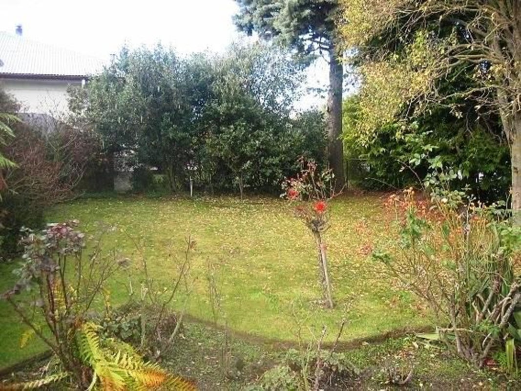 441 Innes Road, Mairehau, Christchurch - Carousel 2