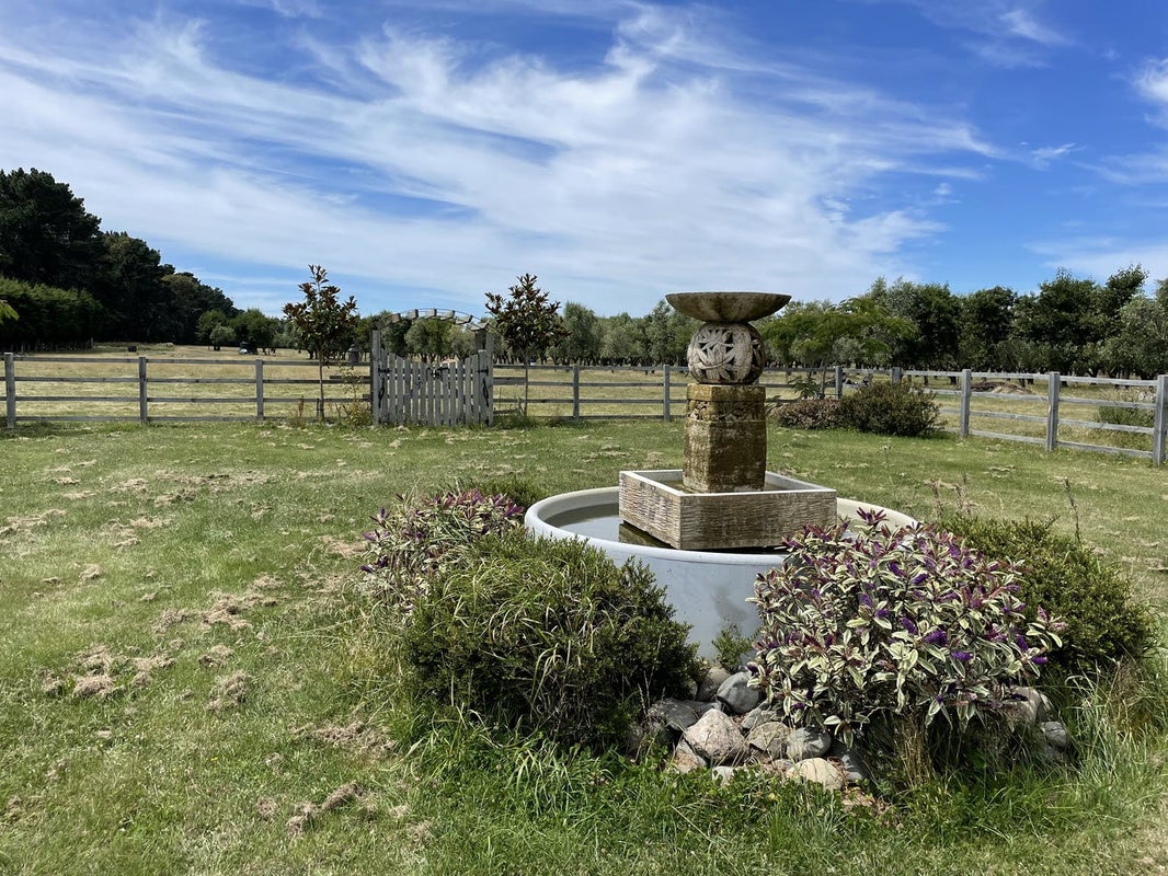 164 Mackenzies Road, Waipara, Amberley - Carousel 17