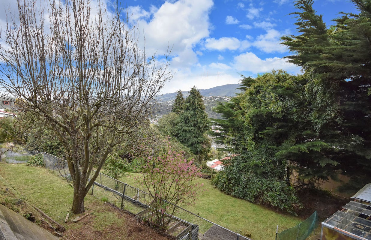 151 Evans Street, Opoho, Dunedin - Carousel 13