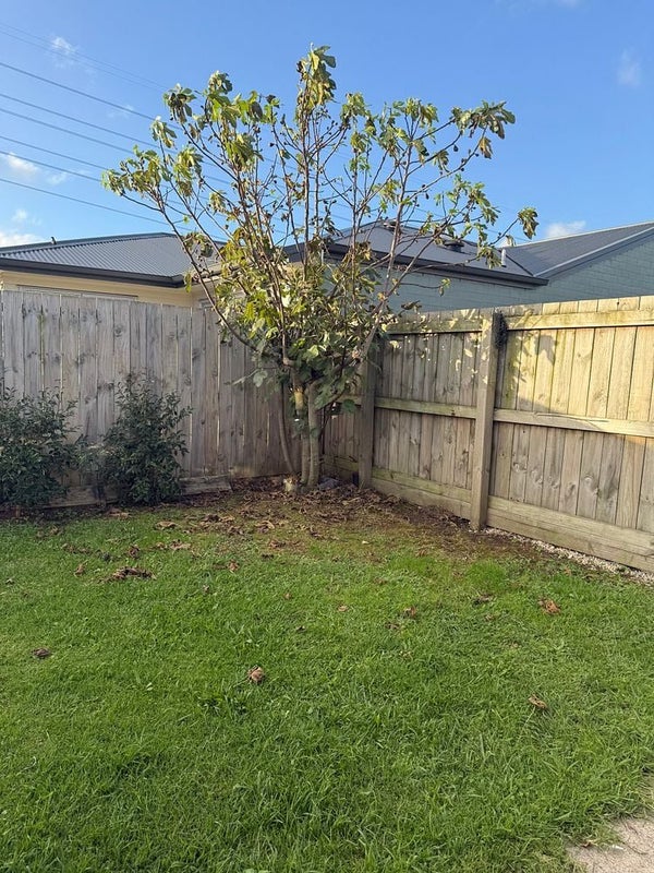 10 Wairepo Street, Takanini, Auckland - Carousel 18