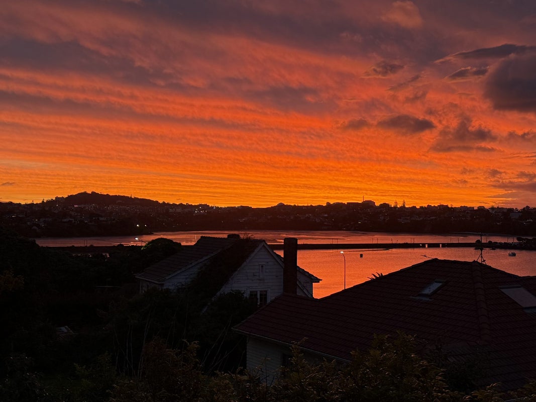 158A Paritai Drive, Orakei, Auckland - Carousel 32