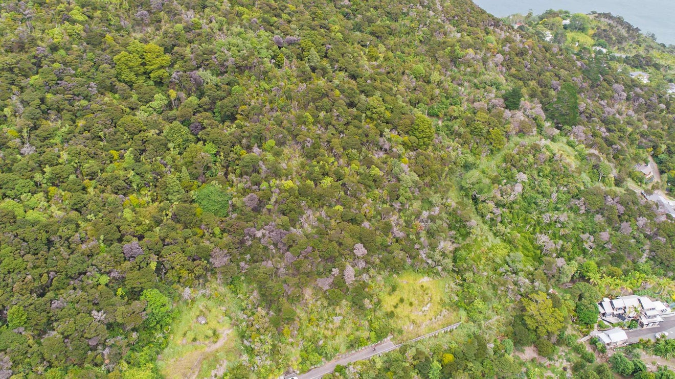 27 Anchorage View, Onerahi, Whangarei - Carousel 2