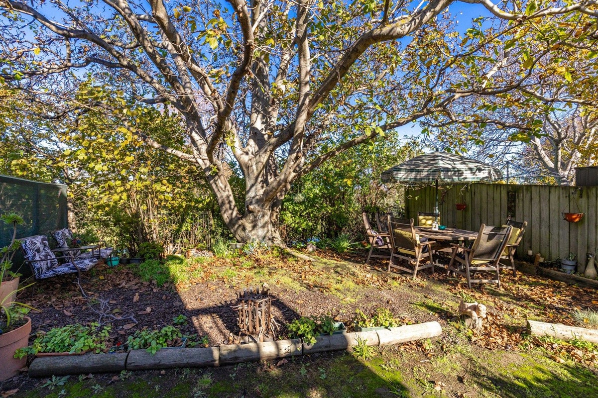 84A Dillons Point Road, Islington, Blenheim - Carousel 23