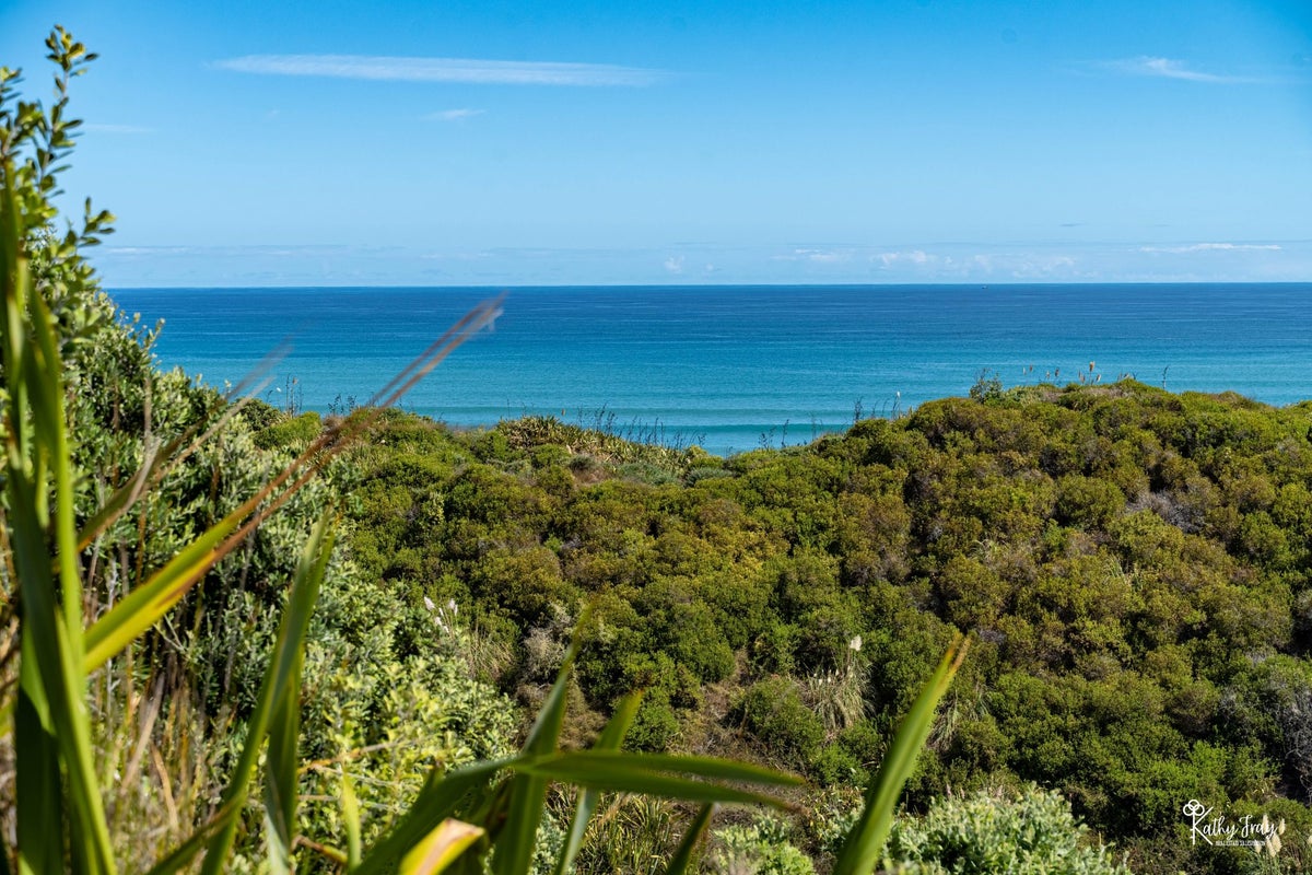 13 Bayly Street, Dargaville - Carousel 1